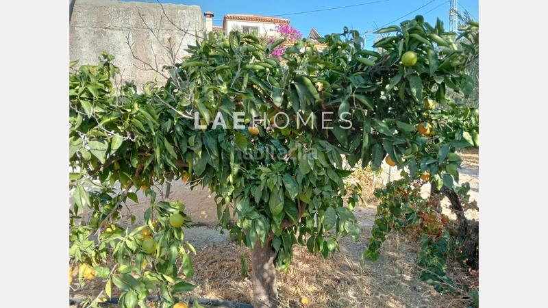 Foto 9d90b758-c868-4e78-bf02-fa30d8065d12. Terreno residencial solar urbano edificable y parcelas rústicas en venta en colmenarejo en Málaga