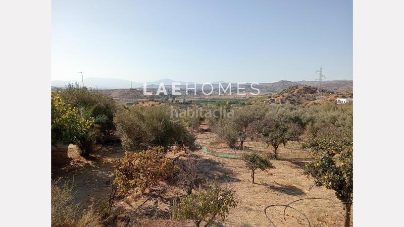 Foto a0651a84-69c9-4eff-a0fe-da0c1dd811f2. Terreno residencial solar urbano edificable y parcelas rústicas en venta en colmenarejo en Málaga