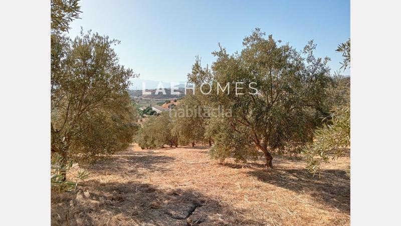 Foto a7e35c1b-ec47-4b40-858a-56f4ee03f7f3. Terreno residencial solar urbano edificable y parcelas rústicas en venta en colmenarejo en Málaga