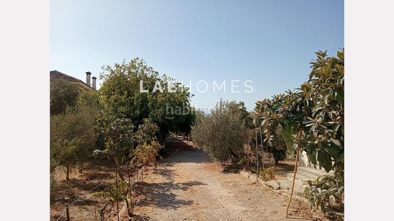 Foto c95ac49c-8291-4f14-b15f-afd2b44a2c61. Terreno residencial solar urbano edificable y parcelas rústicas en venta en colmenarejo en Málaga
