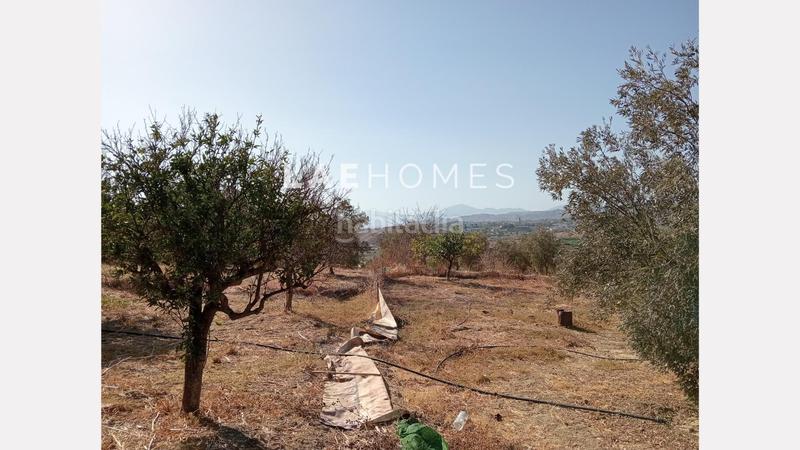 Foto cd6ad8a1-91b2-4c52-814a-c304760ab396. Terreno residencial solar urbano edificable y parcelas rústicas en venta en colmenarejo en Málaga