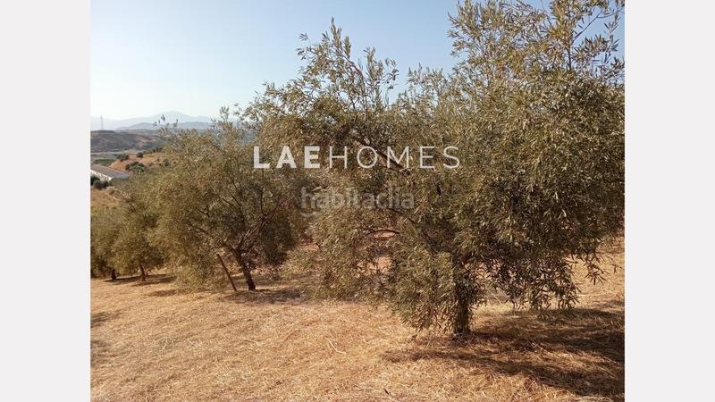 Foto d45ed19d-5612-4407-97e2-29fe072a57f4. Terreno residencial solar urbano edificable y parcelas rústicas en venta en colmenarejo en Málaga