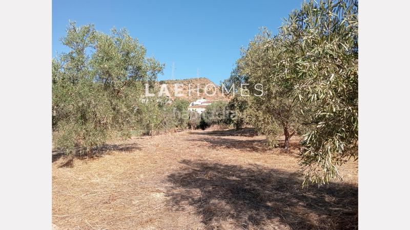 Foto d4b360e4-4455-44dc-996e-eeeb46e6e3e0. Terreno residencial solar urbano edificable y parcelas rústicas en venta en colmenarejo en Málaga