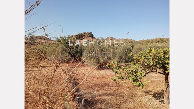 Foto e3f405d6-0420-4540-b0c7-f1954b4fffff. Terreno residencial solar urbano edificable y parcelas rústicas en venta en colmenarejo en Málaga