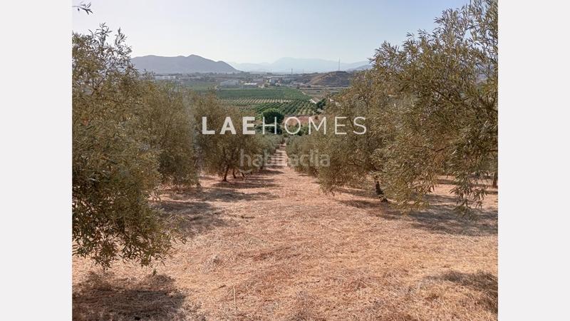 Foto f04101d2-f658-4b1d-881d-ba69a423af83. Terreno residencial solar urbano edificable y parcelas rústicas en venta en colmenarejo en Málaga