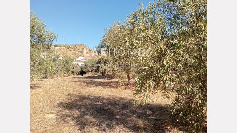 Foto fca4e8dd-560b-48c0-893b-ec72fae4ec68. Terreno residencial solar urbano edificable y parcelas rústicas en venta en colmenarejo en Málaga