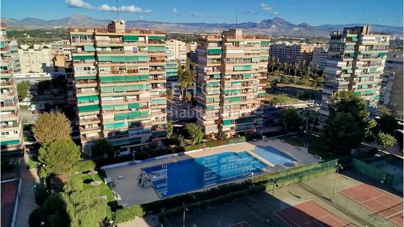 Foto 494ea028-cb52-4972-910b-92776e353cd9. Apartament amb piscina a Albufereta Alicante