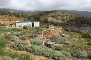 Masia a Arico. Terreno rural en arico
