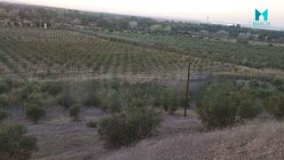 Masia a Sanlúcar la Mayor. Finca rúst. en venta en centro.