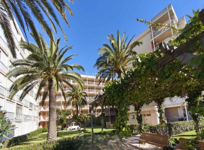 Foto a968a47d-762d-4662-bbf3-9e515c8996a0. Pis a La Pineda Vila-seca