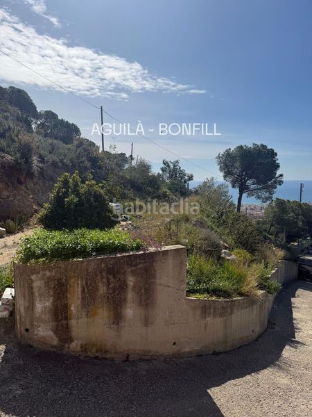 Foto ee6dc088-f481-407b-b046-f0ca48b00edc. Xalet a Cabrils