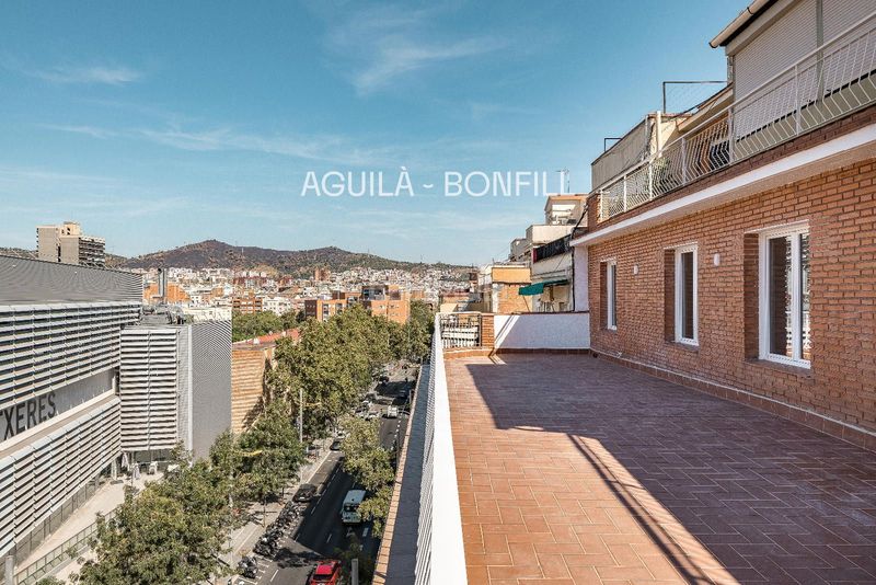 Foto 5d1da62e-26b6-47d4-a05c-09da324a7ba3. Àtic amb calefacció a Congrés - Indians Barcelona