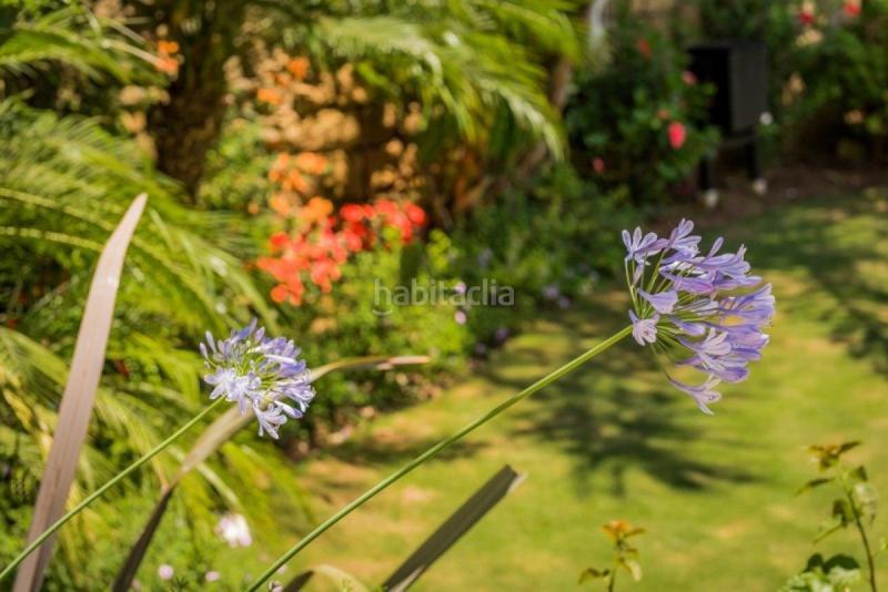 Foto ecdb266d-1e16-477d-be81-3be5b786b919. Appartement avec parking piscine dans Casco Antiguo Marbella