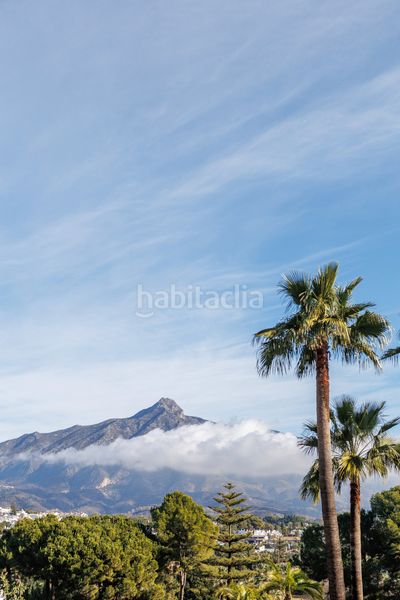 Foto 44a9b28f-4071-47a6-af9d-601f275123db. Casa amb piscina a Casco Antiguo Marbella