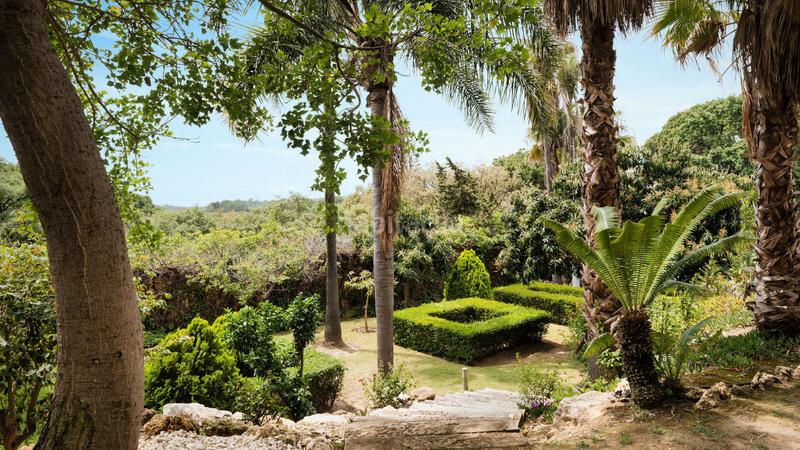 Foto e66ffc09-1db7-436e-9789-b6caa4b53e83. Casa con parcheggio piscina in Casco Antiguo Marbella