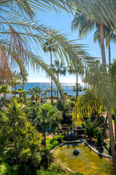 Foto 49733ce0-cb64-43ce-b162-394eb919048e. Attique avec parking piscine dans Casco Antiguo Marbella