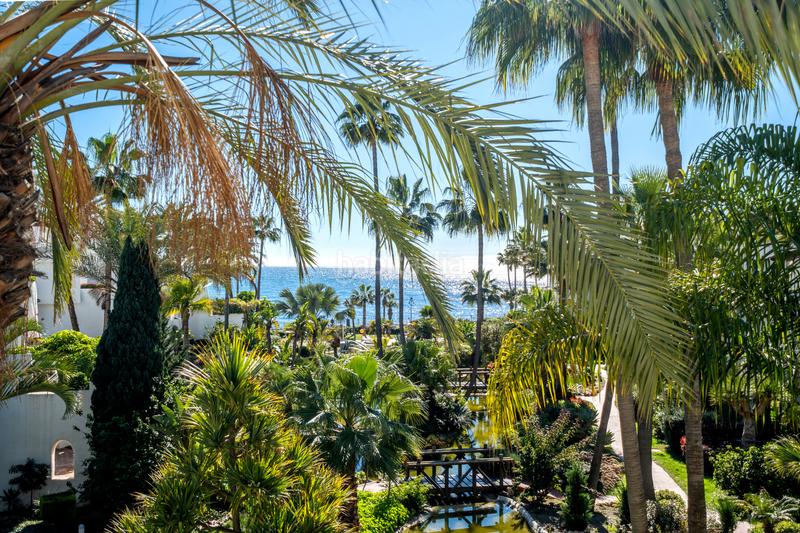 Foto ab1f9ede-2c99-44d5-8eee-1b88a3c084cf. Attique avec parking piscine dans Casco Antiguo Marbella