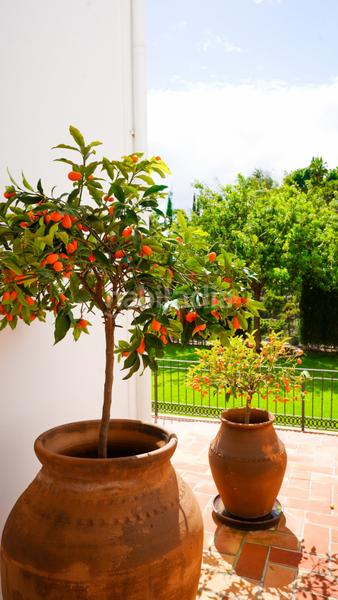 Foto 7bdb4565-6ce8-4549-b461-2d43f634fc43. Rent house with heating pool in El Madroñal Benahavís