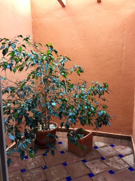 Foto 64bba63f-9a64-4042-b823-fb9ca4f6a4c8. Dúplex duplex en venta en Casco Antiguo Marbella