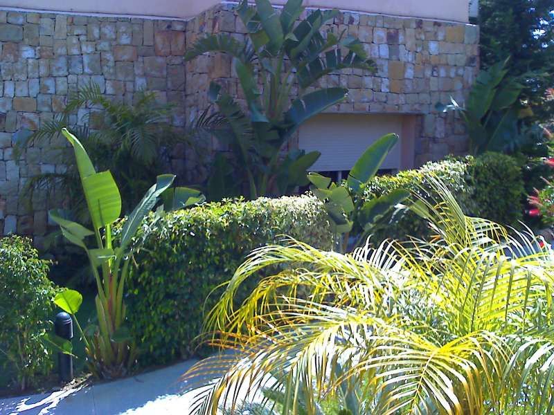 Foto 2740bc9c-f915-4bcd-bf59-e0d309d4ae3e. Apartament amb piscina a Casco Antiguo Marbella