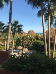 Attique à Puerto Banús. Atico en venta en marbella  puerto banus, marbella