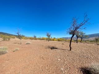 Finca rústica a Abrucena. Terreno en venta en pago de escuchagranos 1, abrucena, almería