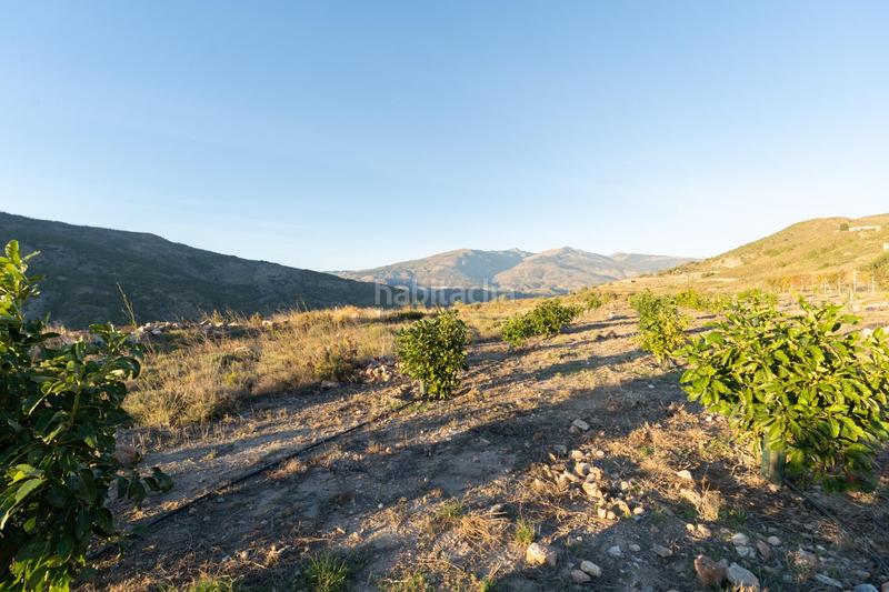 Foto 19780c0e-0132-422e-81d6-8ecb54ea0a6f. Mas avec chauffage dans Motril ciudad Motril