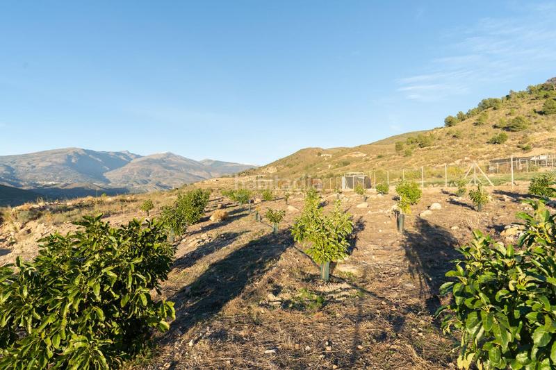 Foto 25760d18-95c5-432c-af76-403609bcf413. Mas avec chauffage dans Motril ciudad Motril