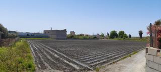 Finca rústica  Polígono las algaidas. poligono 22 parcela 111. Oportunidad única en las algaidas, motril!