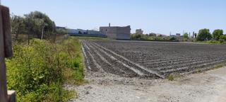 Finca rústica  Polígono las algaidas. poligono 22 parcela 111. Oportunidad única en las algaidas, motril!