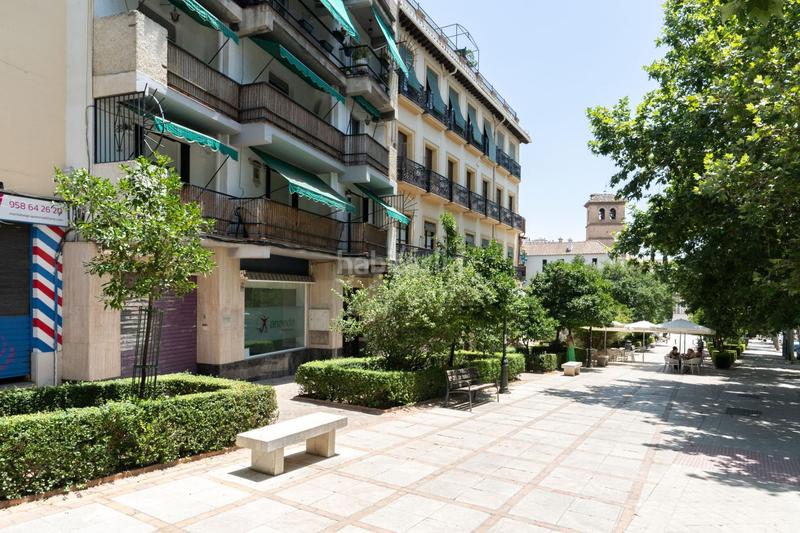 Foto 4a0c6835-7ef4-4fb2-bfec-4f85ea1acbe7. Appartamento in Centro - Sagrario Granada