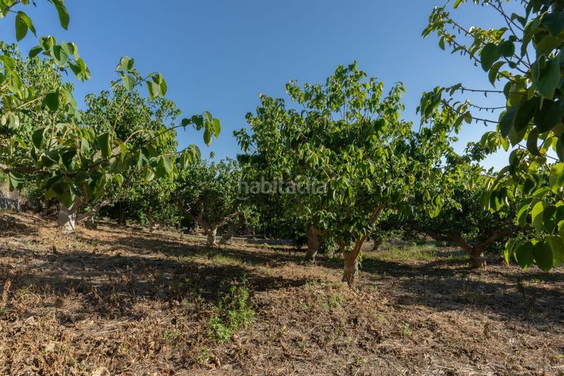 Foto af43d354-34e8-4715-b069-7be488c8f3f2. House with parking in Motril ciudad Motril