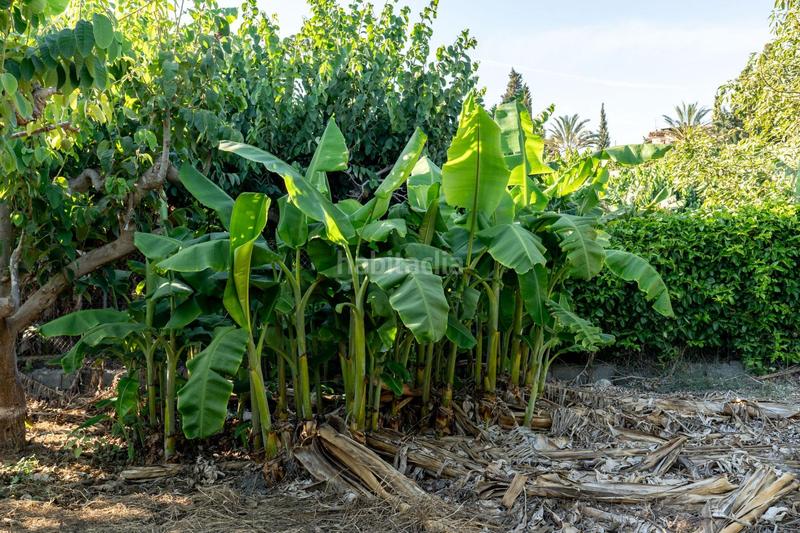 Foto b29ab703-d754-4649-b14c-41f11ea792e1. House with parking in Motril ciudad Motril