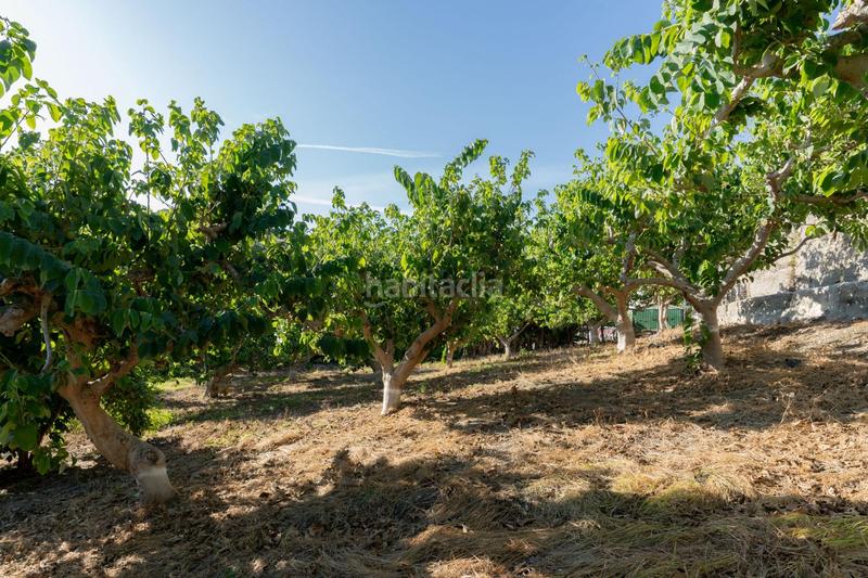 Foto c4000fcd-6e15-4b2a-b661-0b39ffc91e7b. House with parking in Motril ciudad Motril