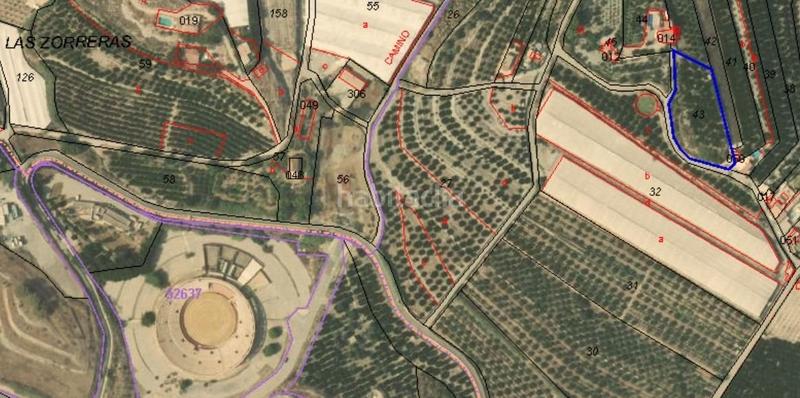 Foto 559e5b23-910f-4066-b7cc-d6227025b565. Rural plot in Motril ciudad Motril