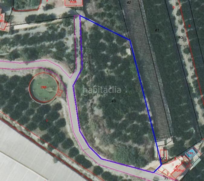 Foto 8d58fe2f-eaaa-4649-a94c-2a2404247f9c. Rural plot in Motril ciudad Motril