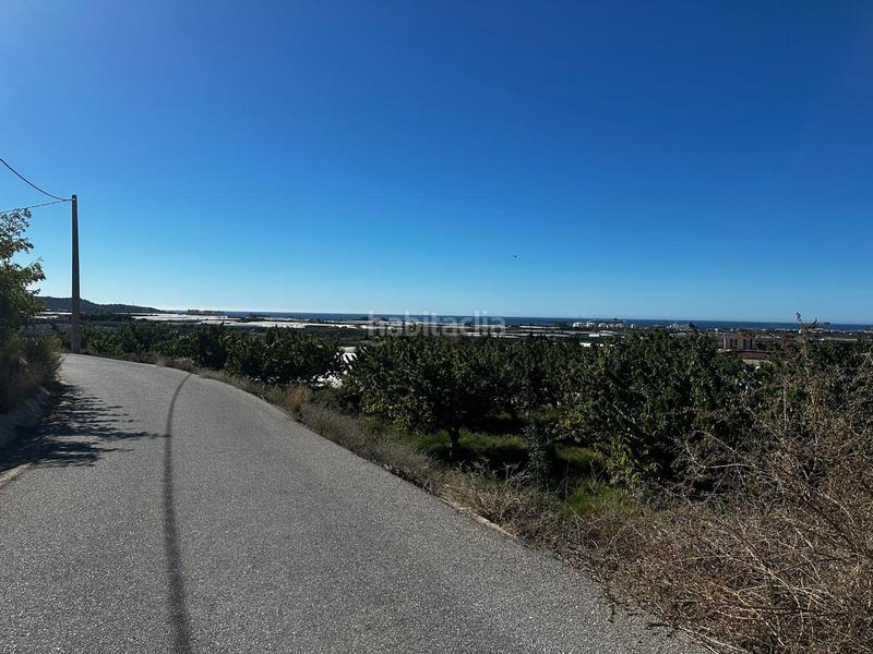 Foto 956eb51e-bedf-41c6-9807-abfafbd83683. Rural plot in Motril ciudad Motril