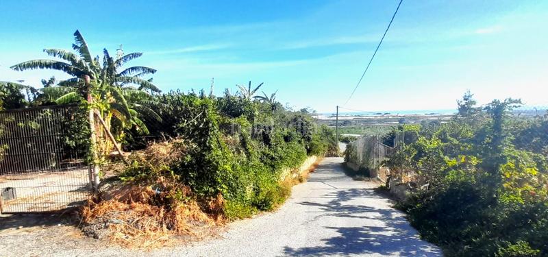 Foto 988c0163-9baa-41a6-b204-026e17a471b8. Rural plot in Motril ciudad Motril