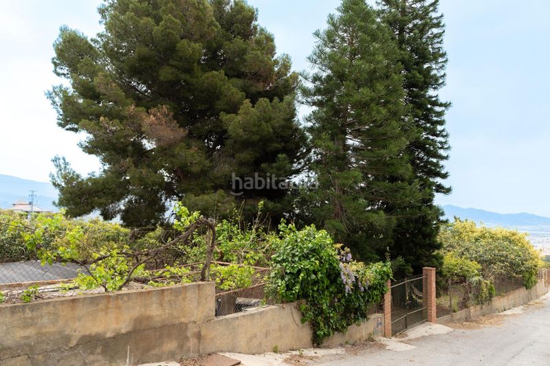 Foto 510b7657-642a-4efd-9df3-82865090cf03. Finca rústica a Motril ciudad Motril