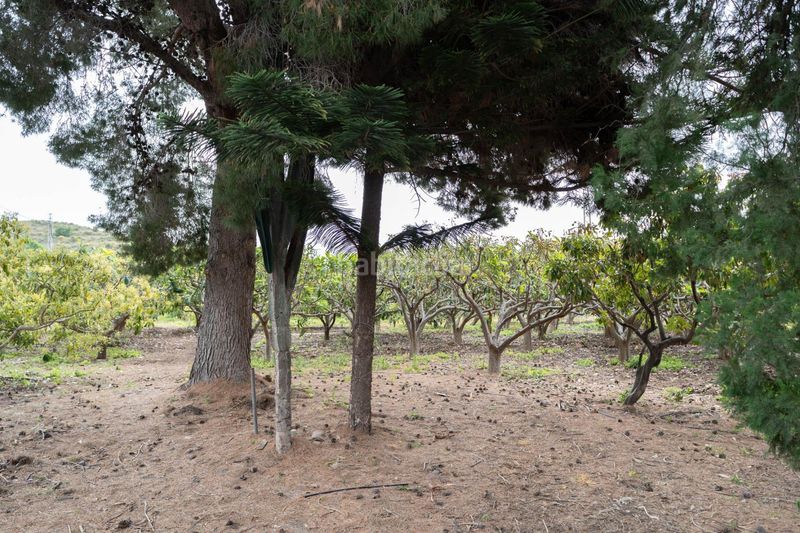 Foto 81197479-646b-49db-a8cc-611188c2b430. Finca rústica a Motril ciudad Motril