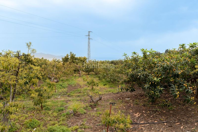 Foto 9134637f-7a28-4090-a5e4-a21e47422124. Finca rústica a Motril ciudad Motril