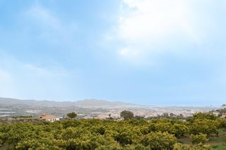 Finca rústica  Polígono la cartujilla . poligono 3 parcela 92-93. Amplio terreno rural en motril  oportunidad única