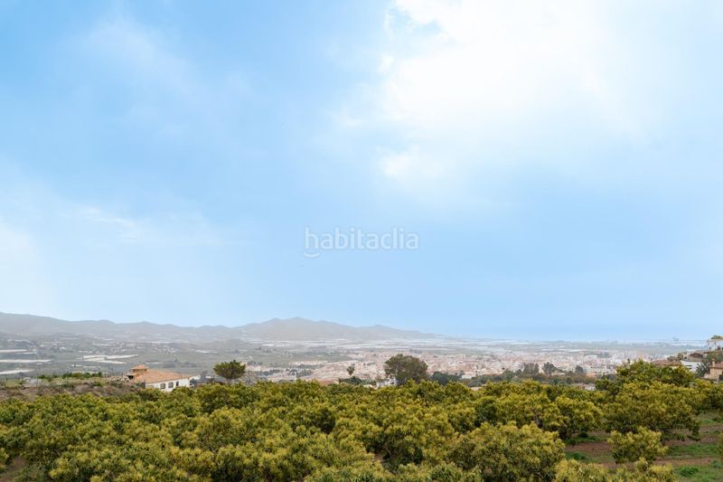 Foto 9a9c0c25-3ec6-4421-adfc-93a318981262. Finca rústica a Motril ciudad Motril