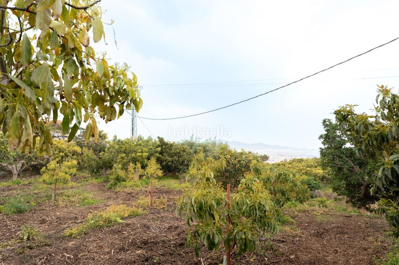 Foto f4d4b00a-57b9-4294-92b4-cdadf2be7be0. Finca rústica a Motril ciudad Motril