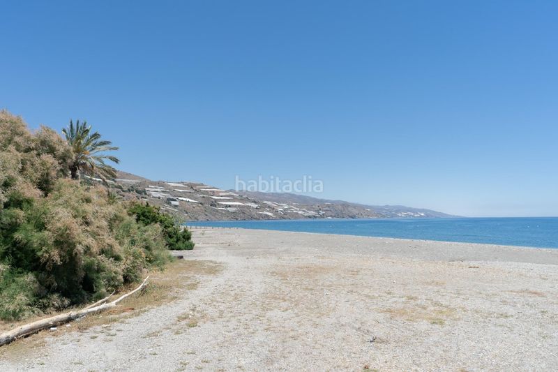 Foto f34a7cce-bab0-452f-893f-91effda89dce. Pis a Castell de Ferro