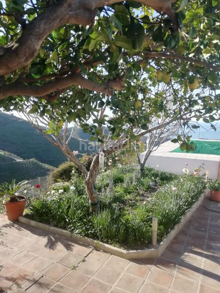 Foto 9bcc1c5c-0f88-4d6d-9822-cb59eefeba2f. Masia amb aparcament piscina a El Morche Torrox