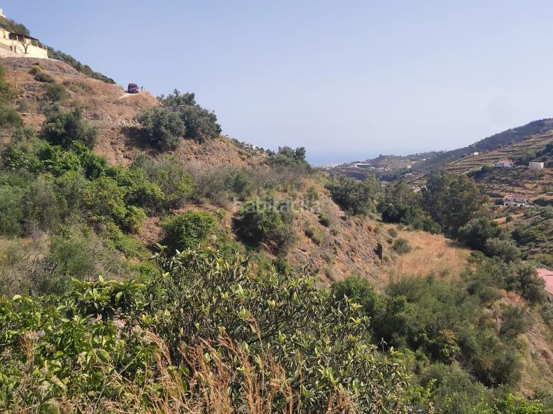 Foto 3d565c70-2915-4745-b57e-924280752508. Propriété dans Torrox pueblo Torrox