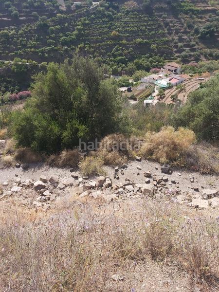 Foto cd601af3-f0ff-4e0b-b49c-aea12b18987e. Propriété dans Torrox pueblo Torrox
