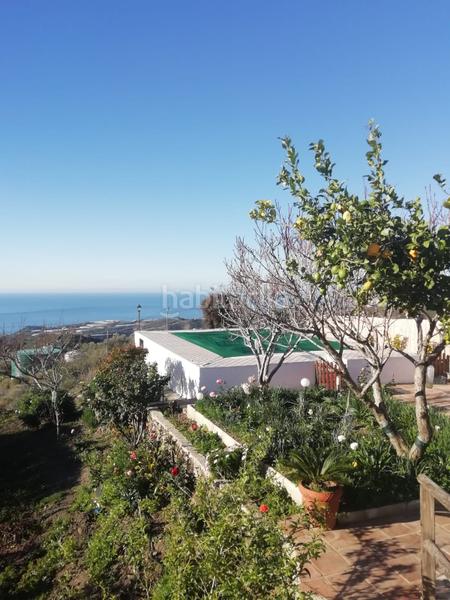 Foto a07f60b8-1033-40e7-9881-c823a616f128. Finca rústica a El Morche Torrox