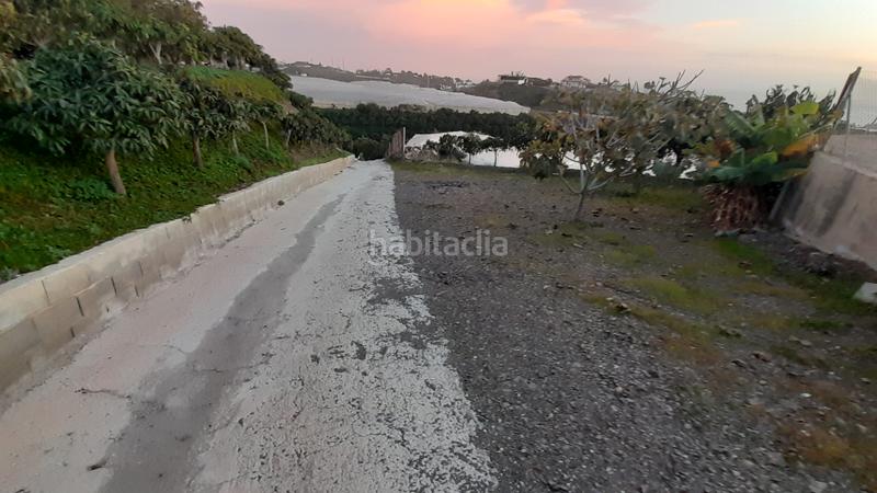 Foto 97d8dfa8-69c8-48cd-8f6d-c2e5fc39d6d5. Masía en calle manuel de falla 4 se vende finca con casa y árboles 1km en Algarrobo Costa